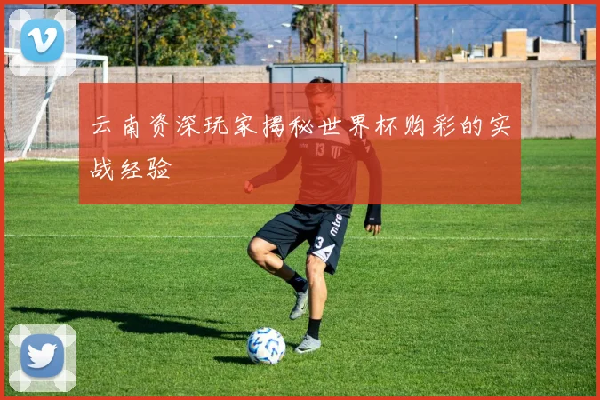云南资深玩家揭秘世界杯购彩的实战经验
