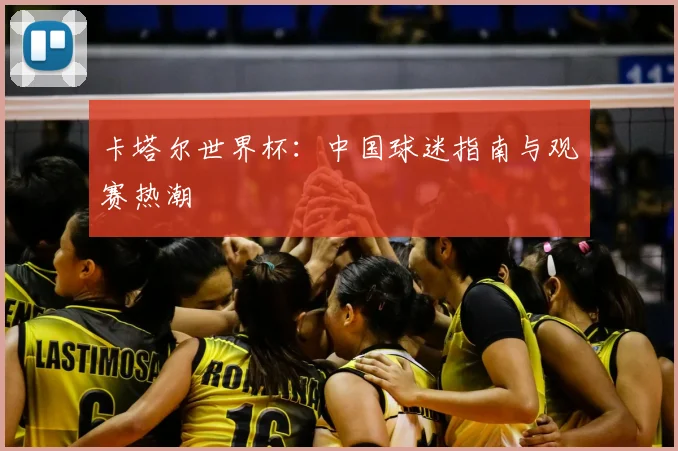 卡塔尔世界杯:中国球迷指南与观赛热潮