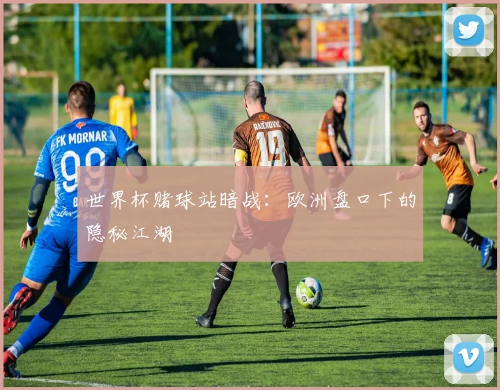 世界杯赌球站暗战：欧洲盘口下的隐秘江湖