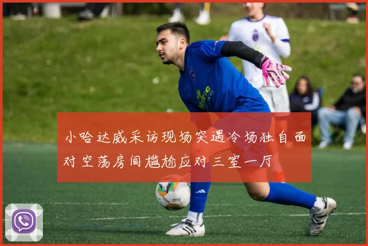 小哈达威采访现场突遇冷场独自面对空荡房间尴尬应对三室一厅
