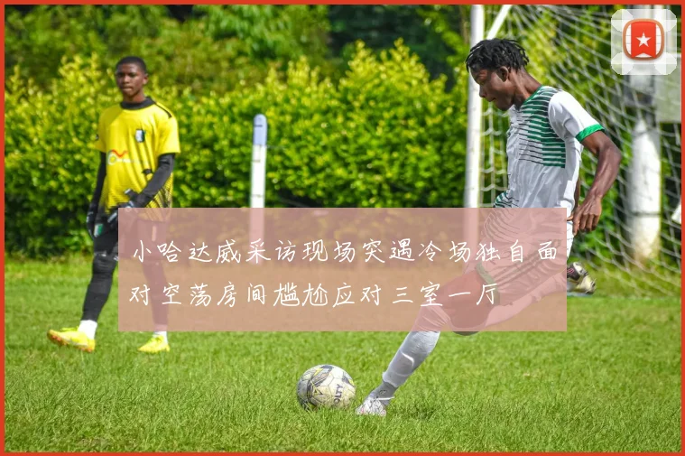 小哈达威采访现场突遇冷场独自面对空荡房间尴尬应对三室一厅