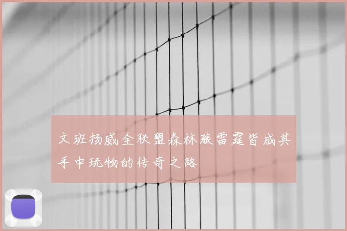 文班扬威全联盟森林狼雷霆皆成其手中玩物的传奇之路