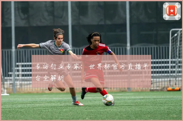 专访行业专家：世界杯官方直播平台全解析