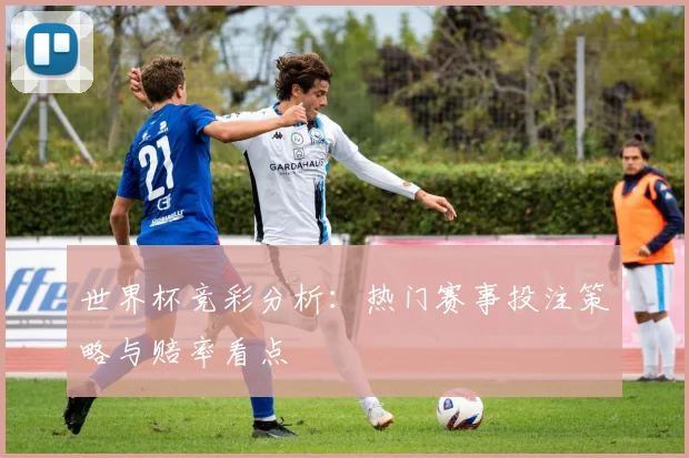 世界杯竞彩分析：热门赛事投注策略与赔率看点