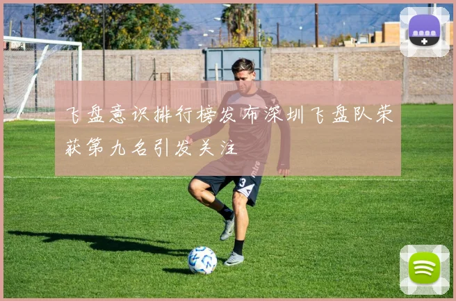 飞盘意识排行榜发布深圳飞盘队荣获第九名引发关注