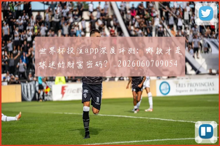 世界杯投注app深度评测：哪款才是球迷的财富密码？_20260607090549