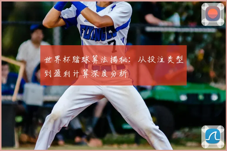 世界杯赌球算法揭秘：从投注类型到盈利计算深度分析