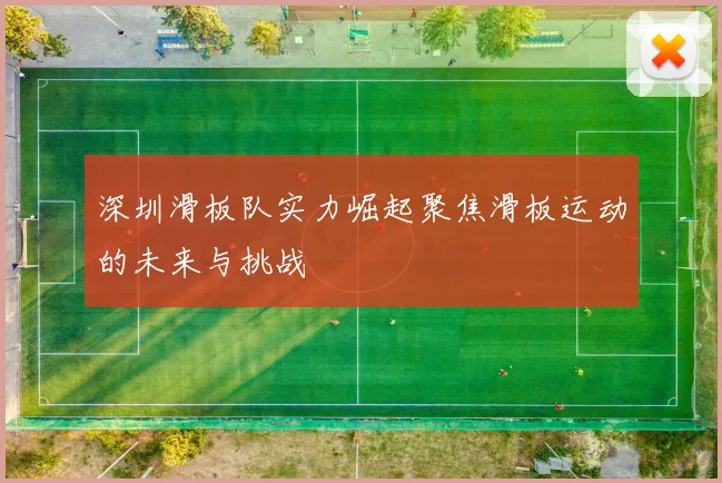 深圳滑板队实力崛起聚焦滑板运动的未来与挑战
