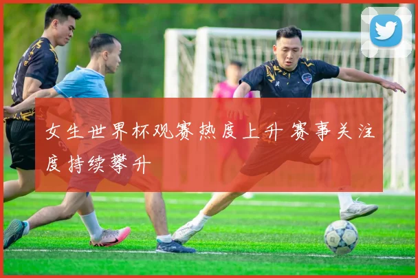 女生世界杯观赛热度上升 赛事关注度持续攀升