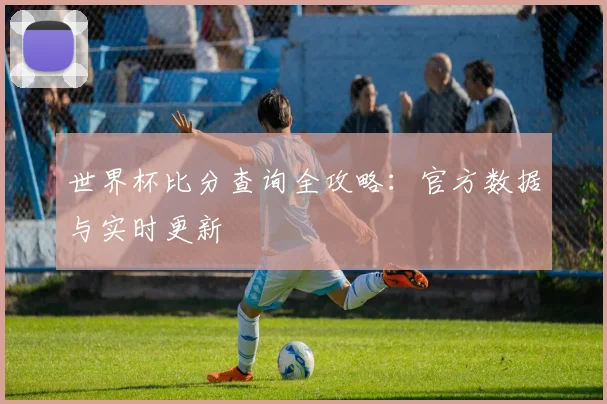 世界杯比分查询全攻略：官方数据与实时更新