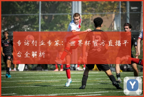 专访行业专家:世界杯官方直播平台全解析