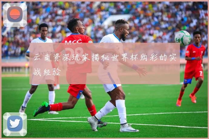 云南资深玩家揭秘世界杯购彩的实战经验